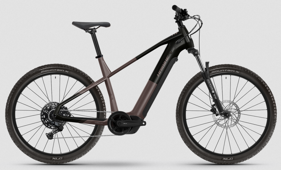 ALLTRACK 6 29 i800Wh 10S CUES